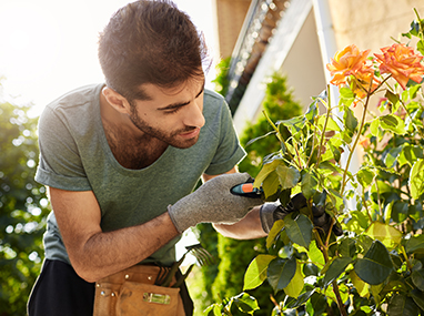 BP Aménagements paysagers en formation continue