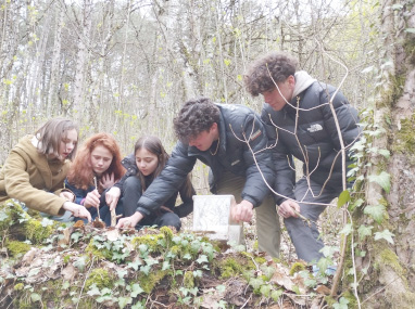 Les terminales GMNF en journée d'animation au CINE